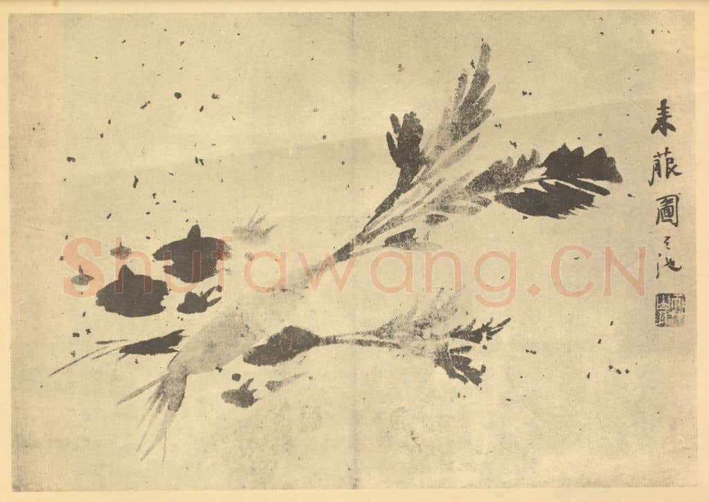 明 徐渭《莱菔图》国画作品