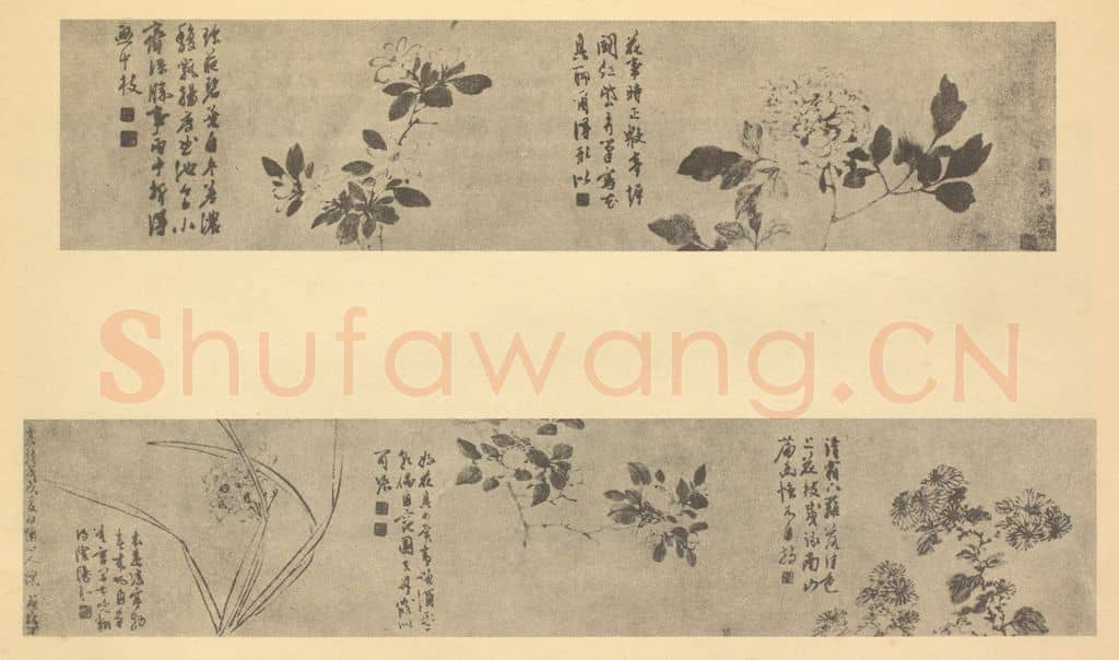 明 陈淳《花卉五图卷》国画作品