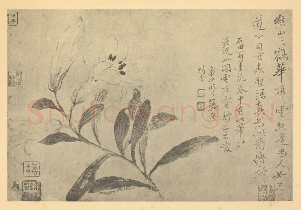 清 恽寿平《百合》国画作品