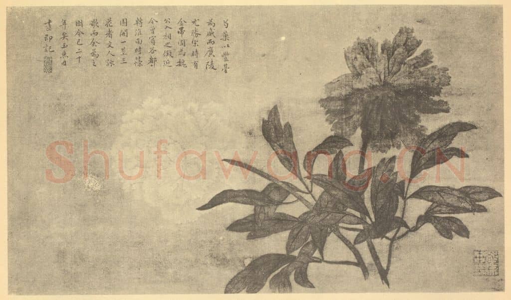 清 钱东《芍药》国画作品