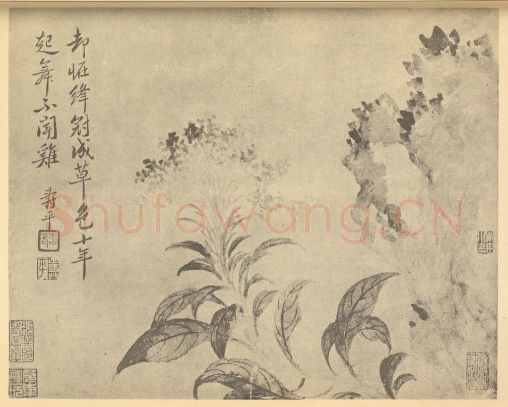 清 恽寿平《鸡冠花图》国画作品