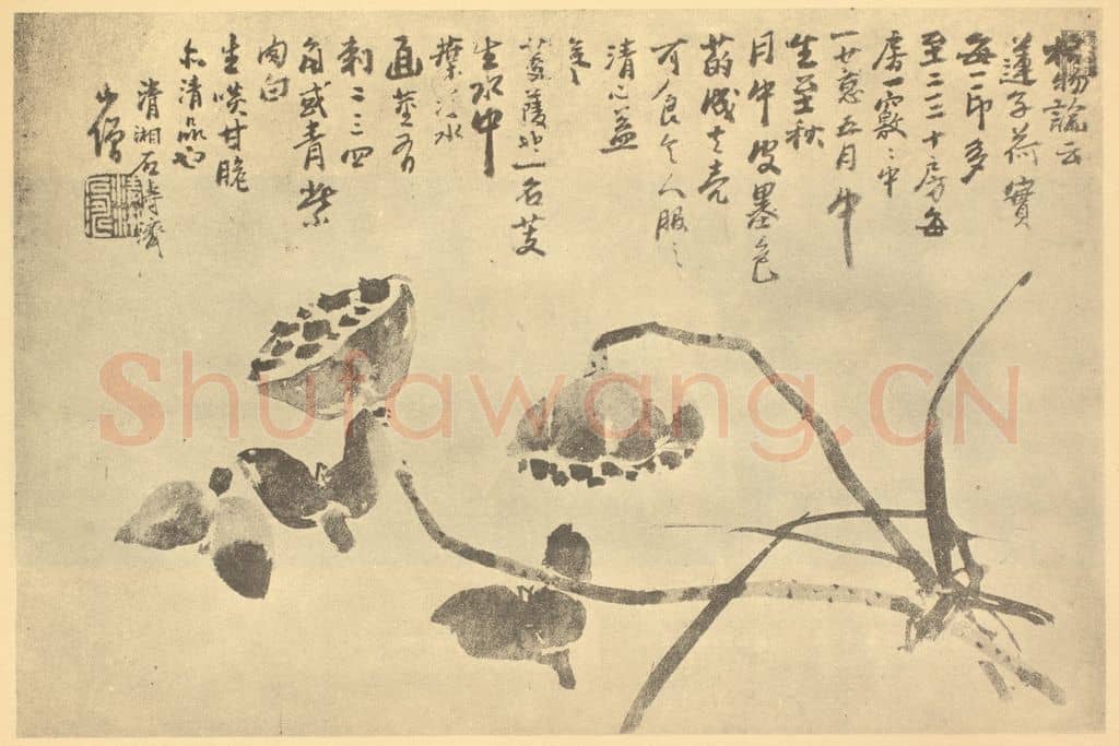 清 道济《莲芰图》国画作品