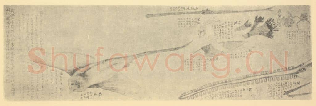 清 赵之谦《画东瓯海物卷图(二)》国画作品