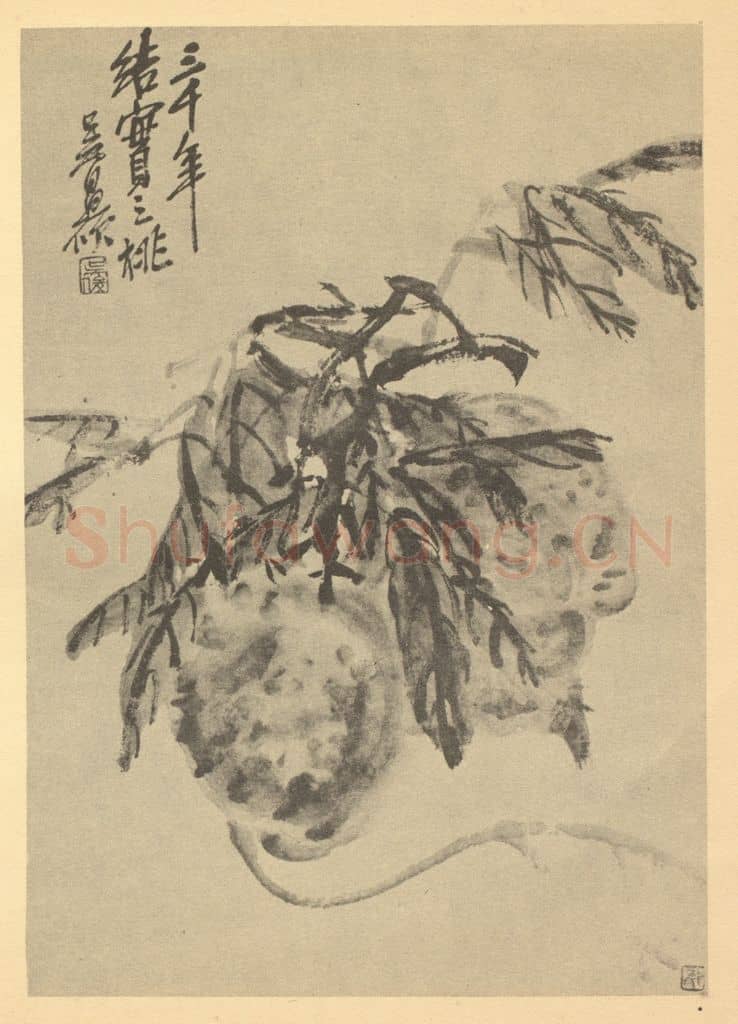 清 吴昌硕《芙蓉》国画作品