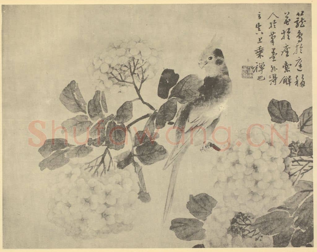 清 陆恢《鹦哥图》国画作品
