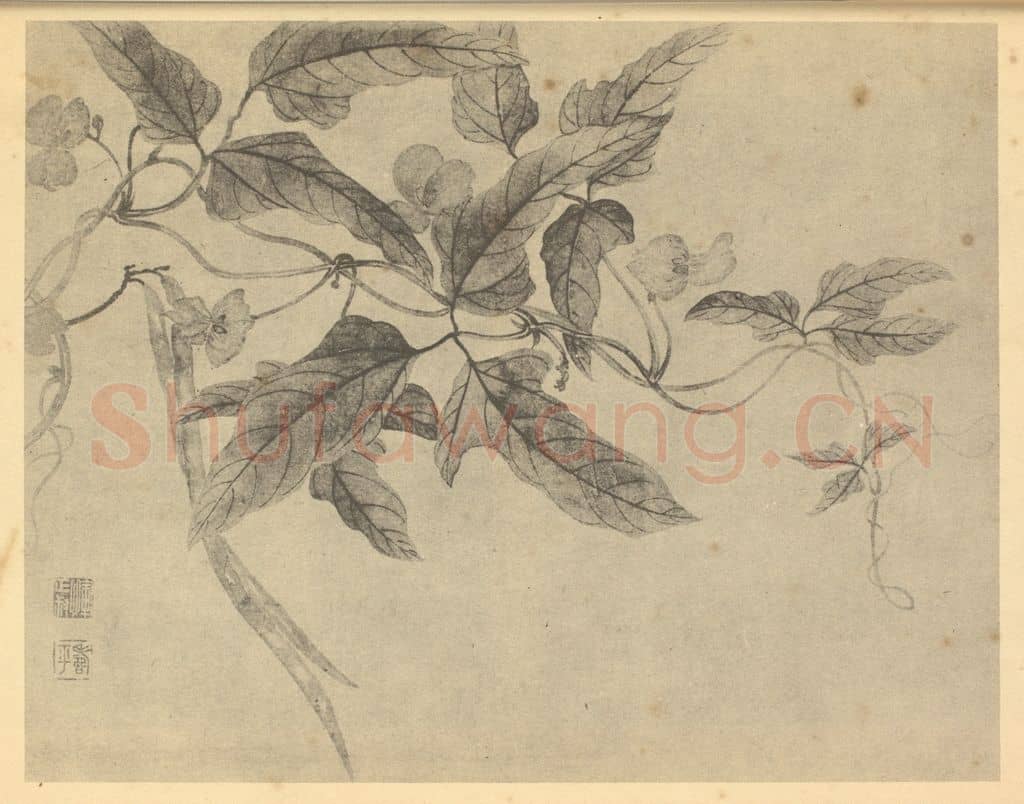 清 恽寿平《荳花》国画作品
