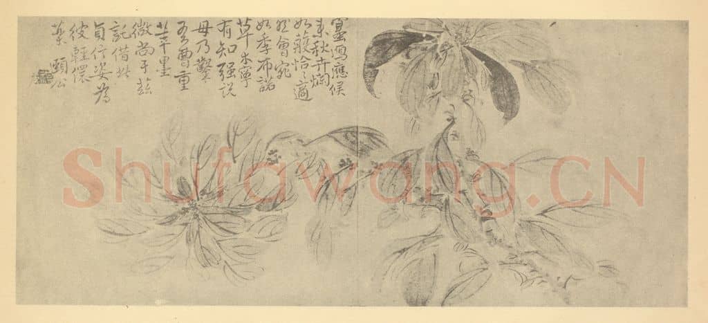 清 边寿民《雁来红》国画作品