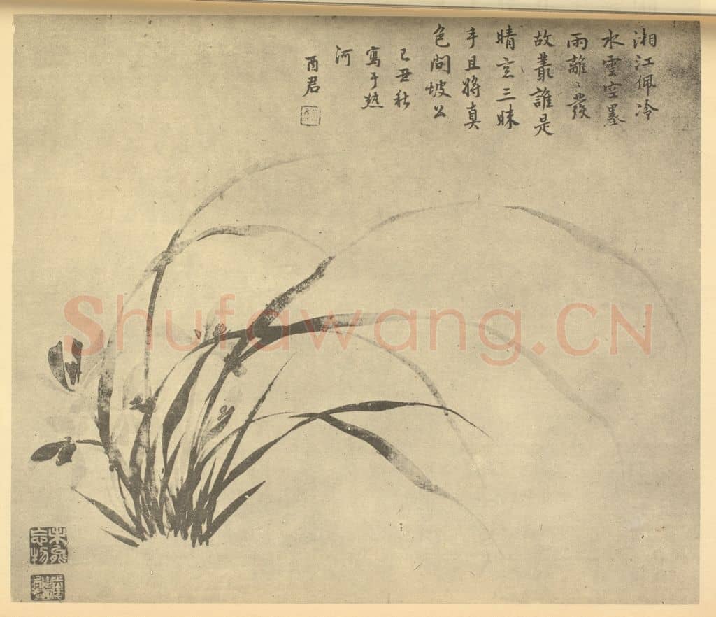 清 蒋廷锡《兰》国画作品