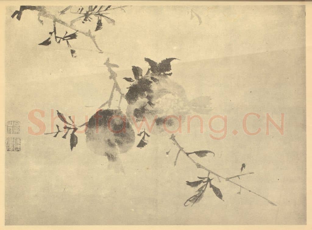 明 陈淳《石榴》国画作品
