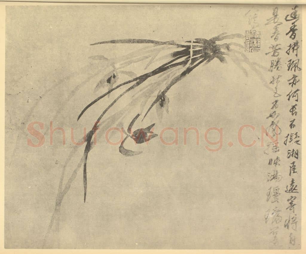 清 释道济《兰》国画作品
