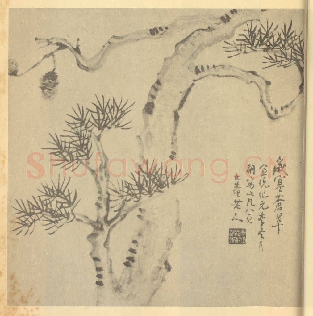 清 陈豪《画松》国画作品