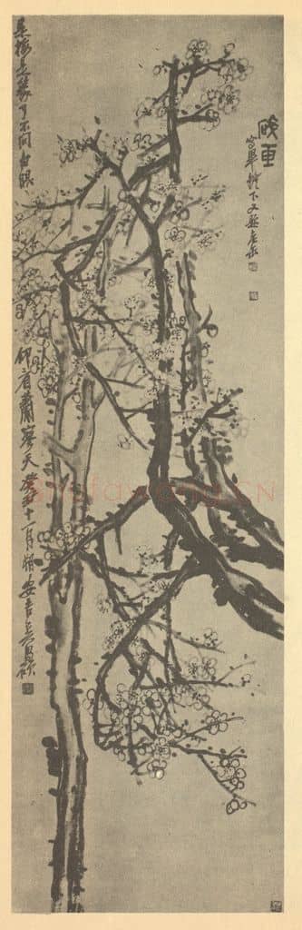 清 吴昌硕《梅花》国画作品