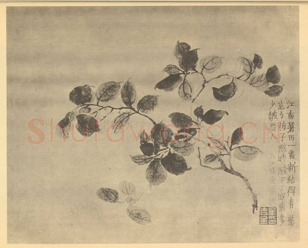 清 金农《梅子》国画作品