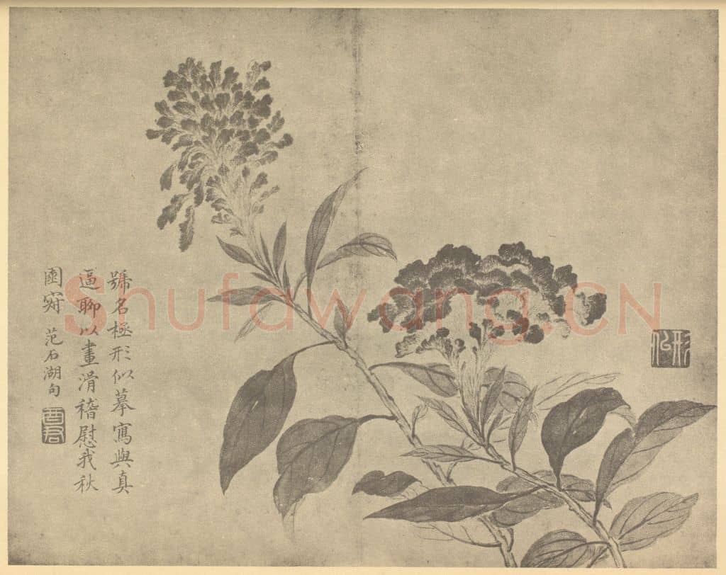 清 蒋廷锡《鸡冠花》国画作品