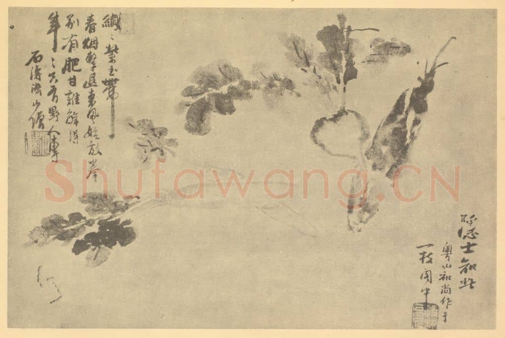 清 道济《蔬笋》国画作品