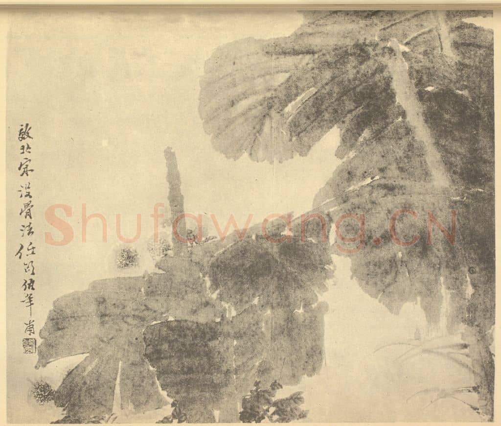清 任颐《芭蕉图》国画作品