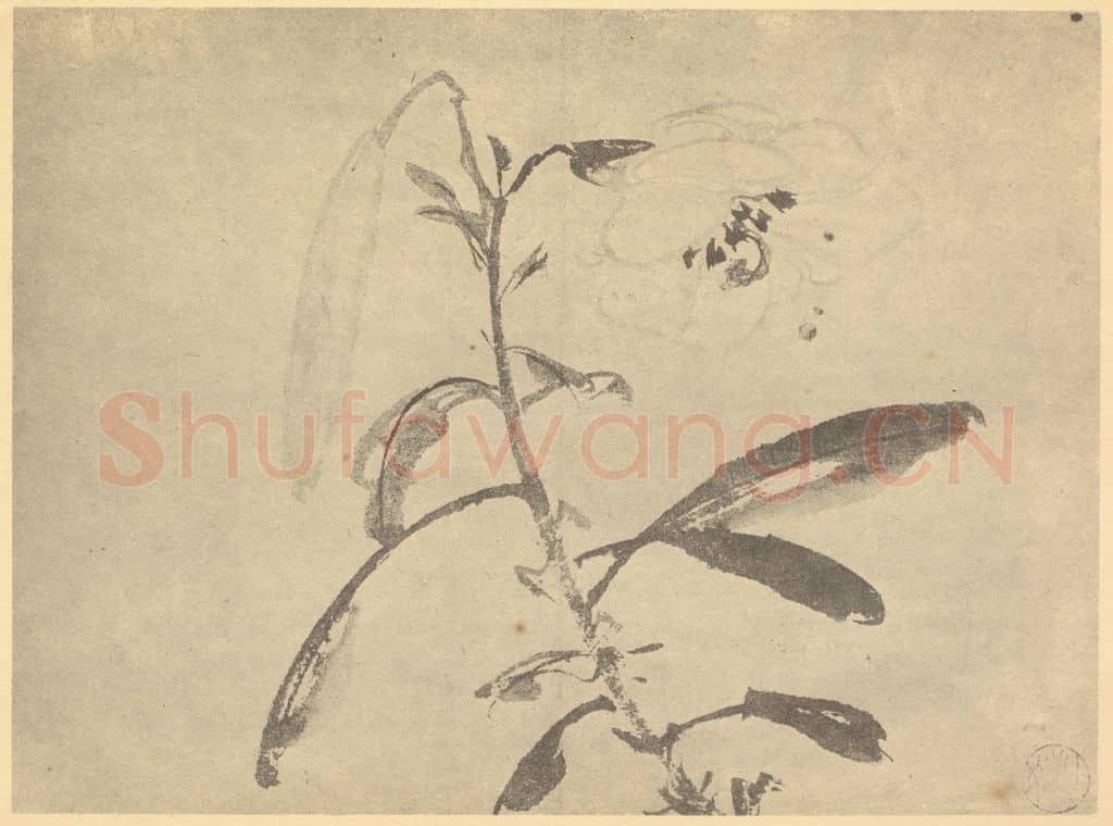 明 陈淳《百合》国画作品