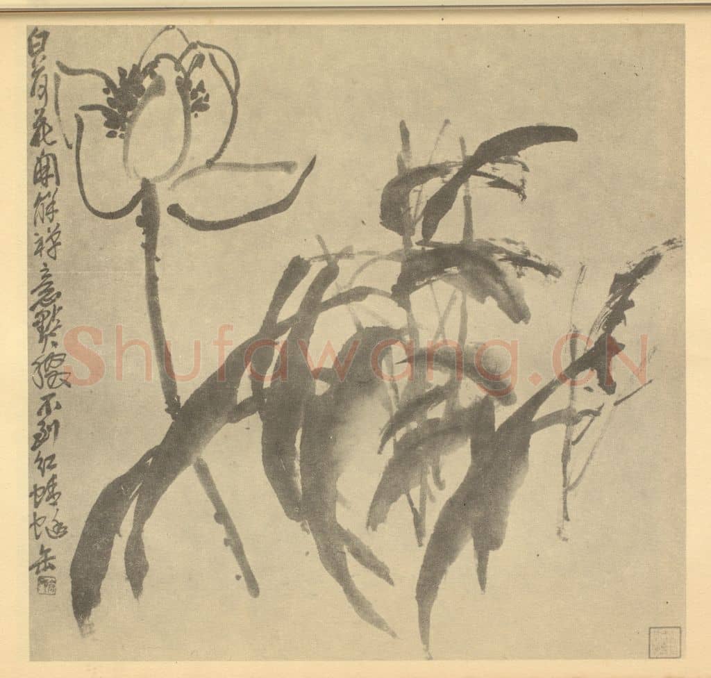清 吴昌硕《荷花》国画作品