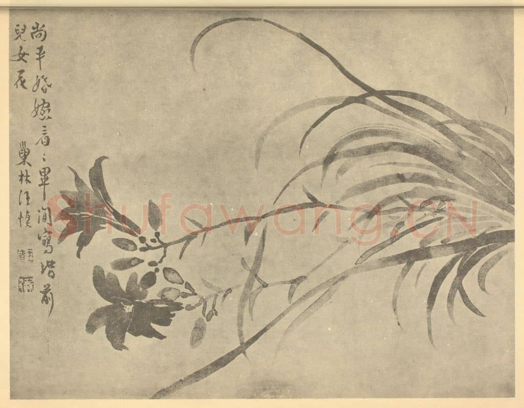 清 汪士慎《萱草》国画作品