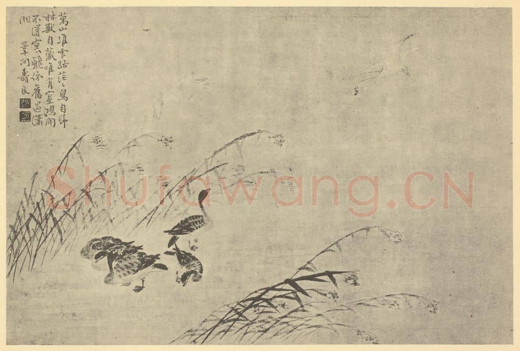 清 边寿民《芦雁图(五)》国画作品