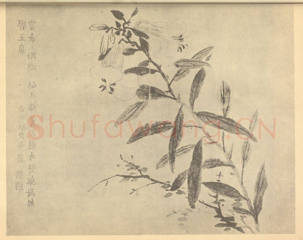清 金农《百合图》国画作品