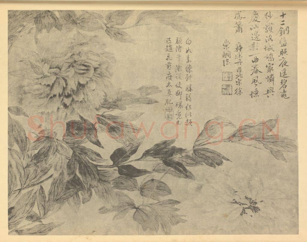 清 恽寿平《牡丹》国画作品