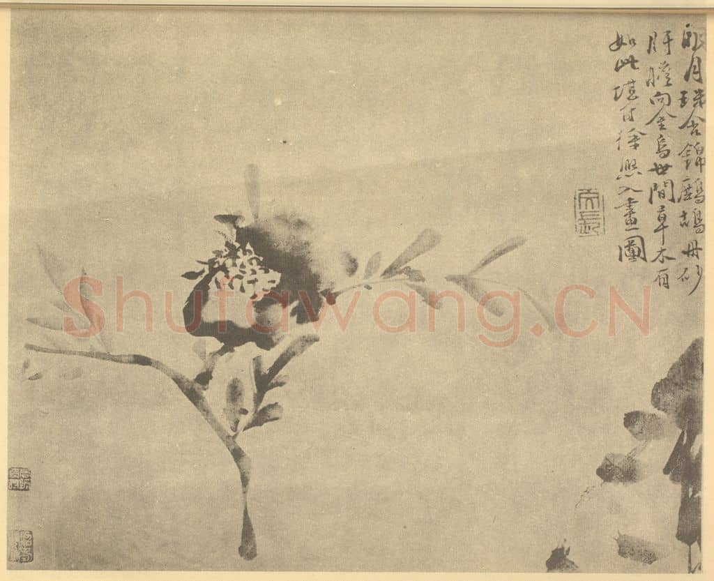明 徐渭《石榴》国画作品