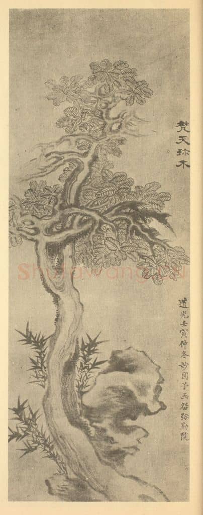 清 戴熙《梵天珍木图》国画作品