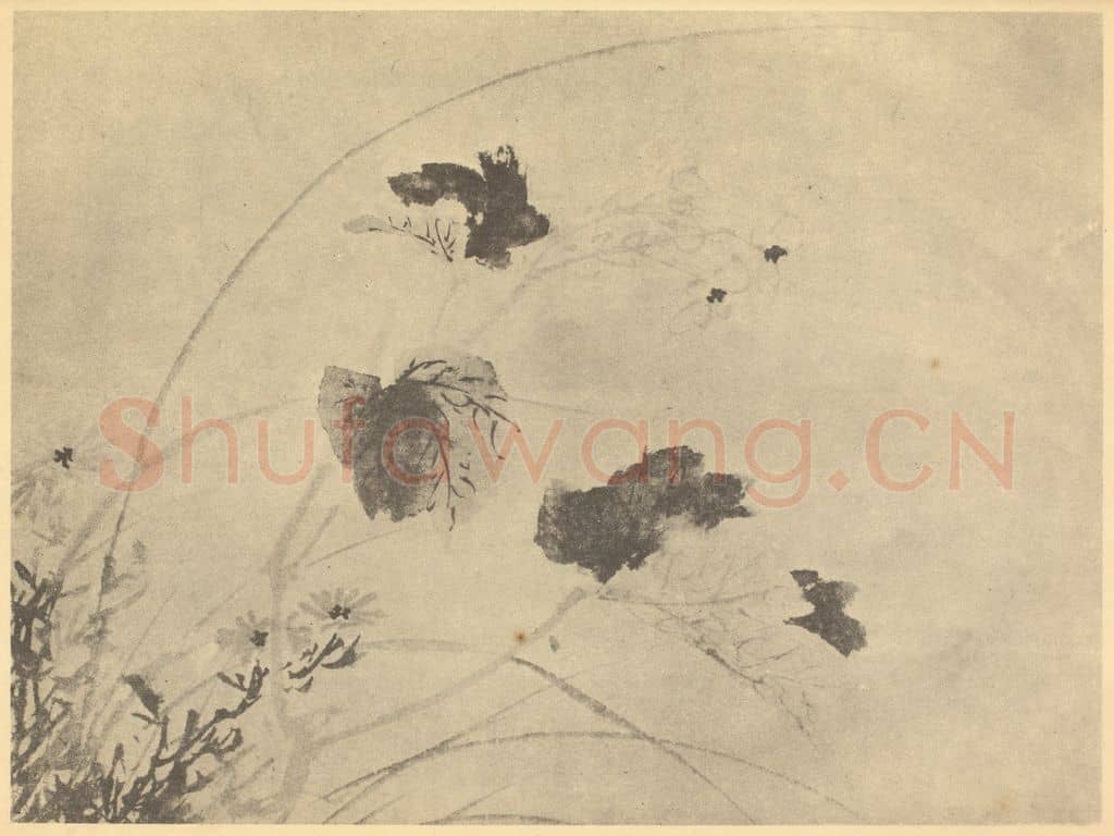明 陈淳《秋海棠图》国画作品
