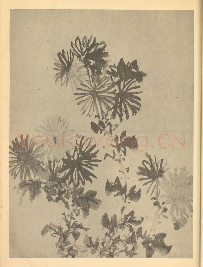 明 陈淳《菊》国画作品
