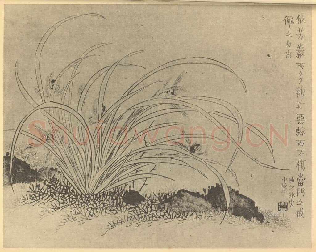 清 金农《兰石》国画作品