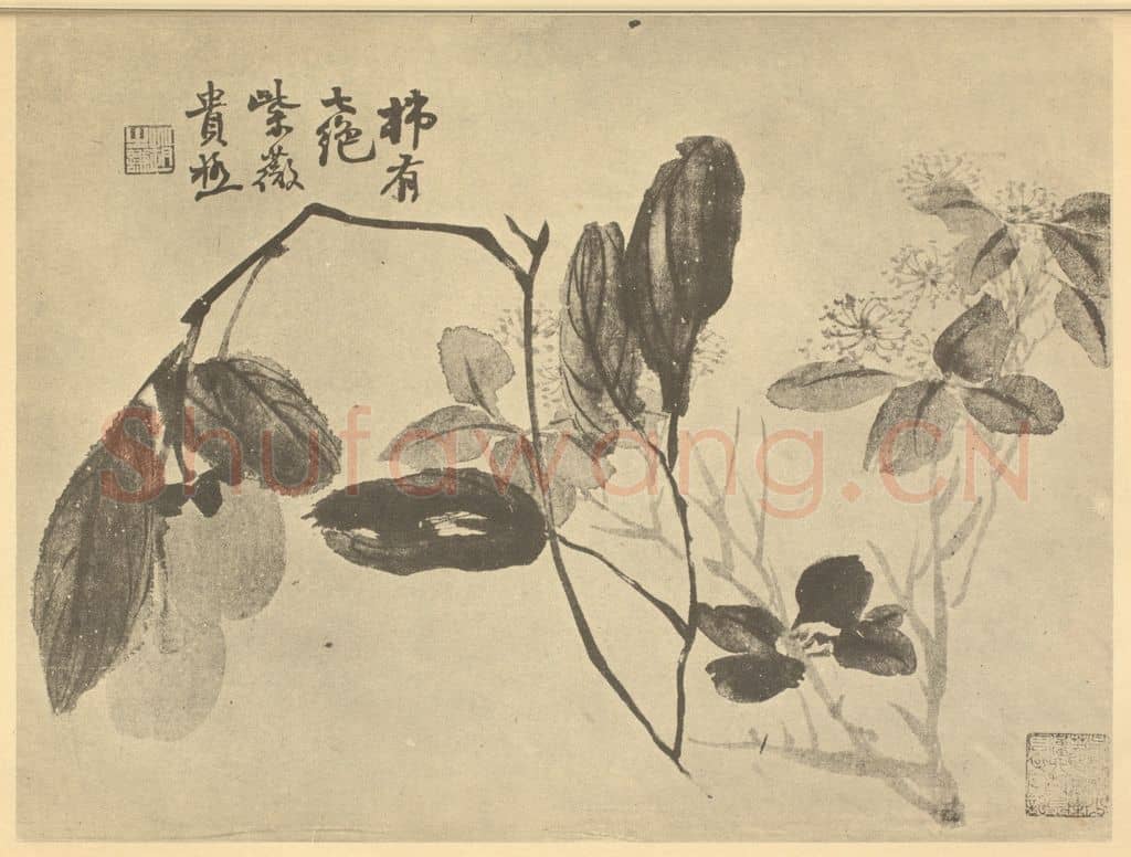 清 赵之谦《紫薇赤柿》国画作品
