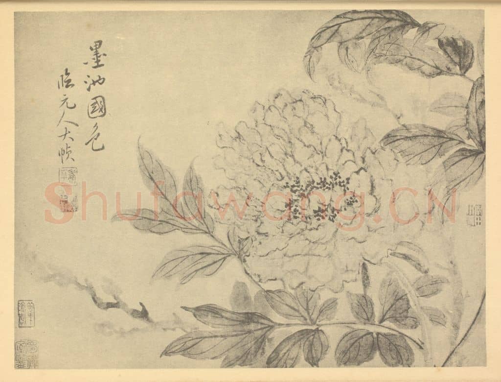 清 恽寿平《墨池国色》国画作品