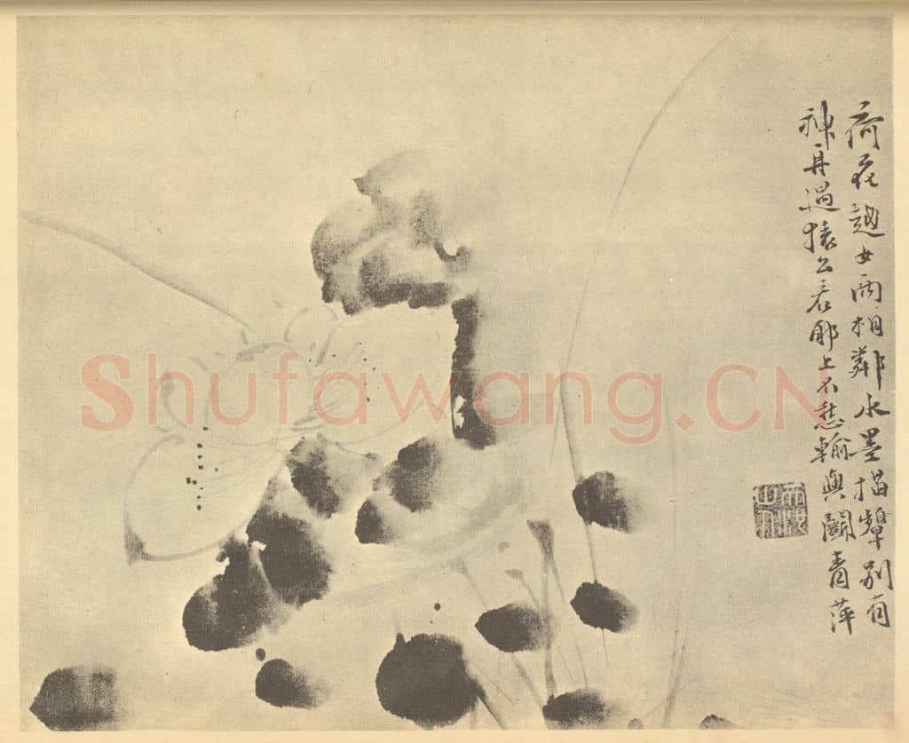 明 徐渭《荷花》国画作品