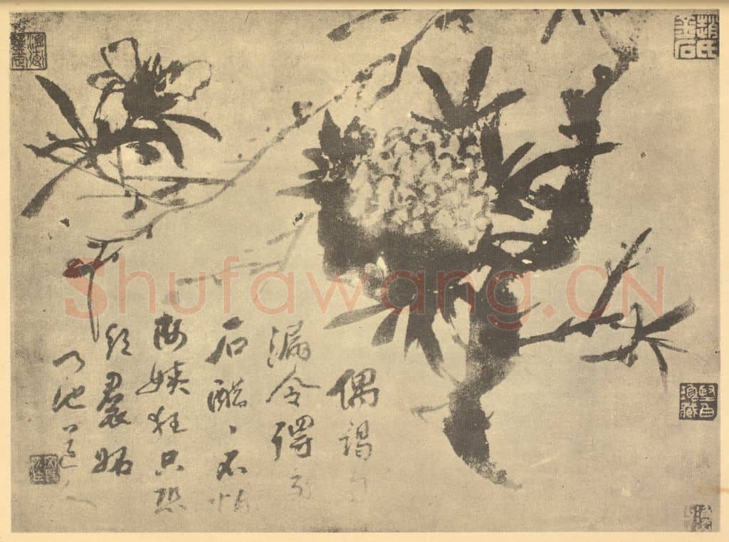 明 徐渭《石榴》国画作品