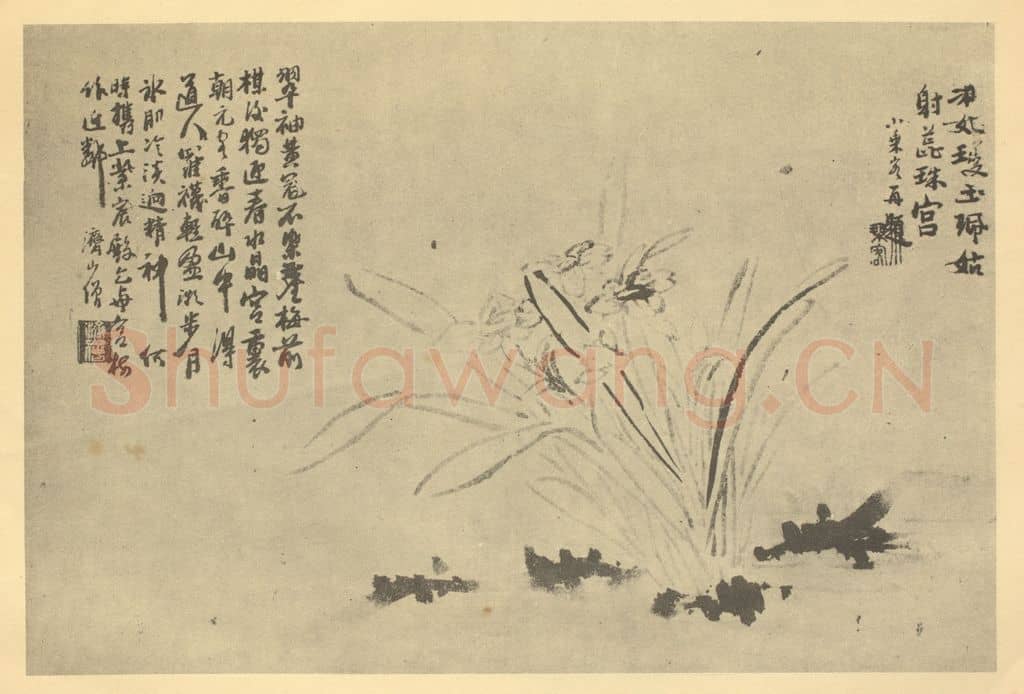 清 道济《水仙》国画作品