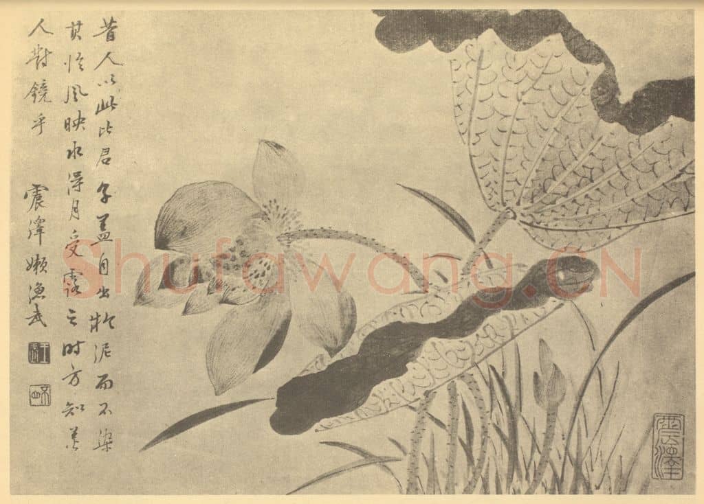 清 王武《荷花图》国画作品