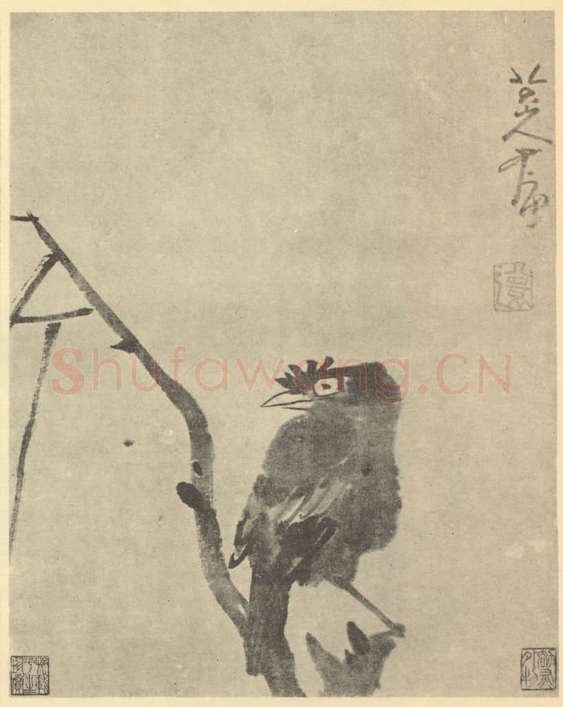 清 朱耷《画鸟》国画作品