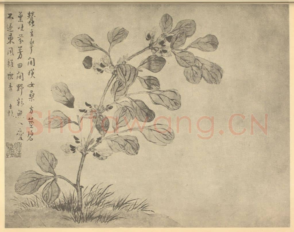 清 汪士慎《荳花》国画作品