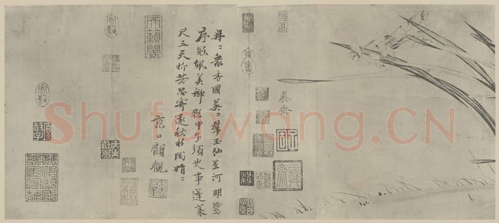 宋 赵孟坚《水仙图卷（五）》国画作品