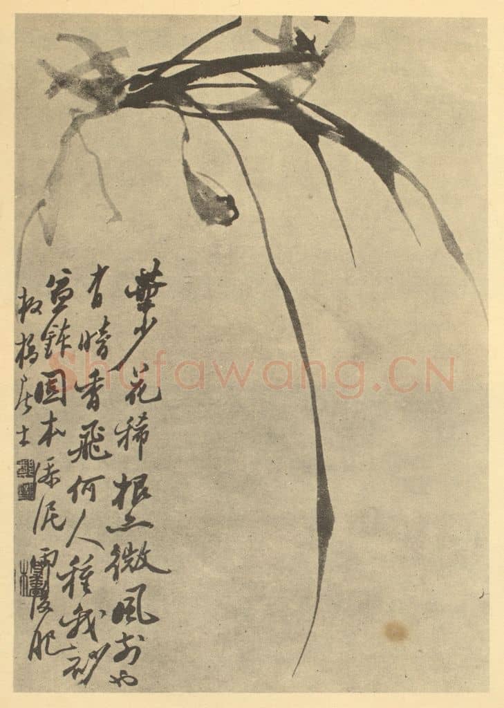 清 郑燮《兰》国画作品