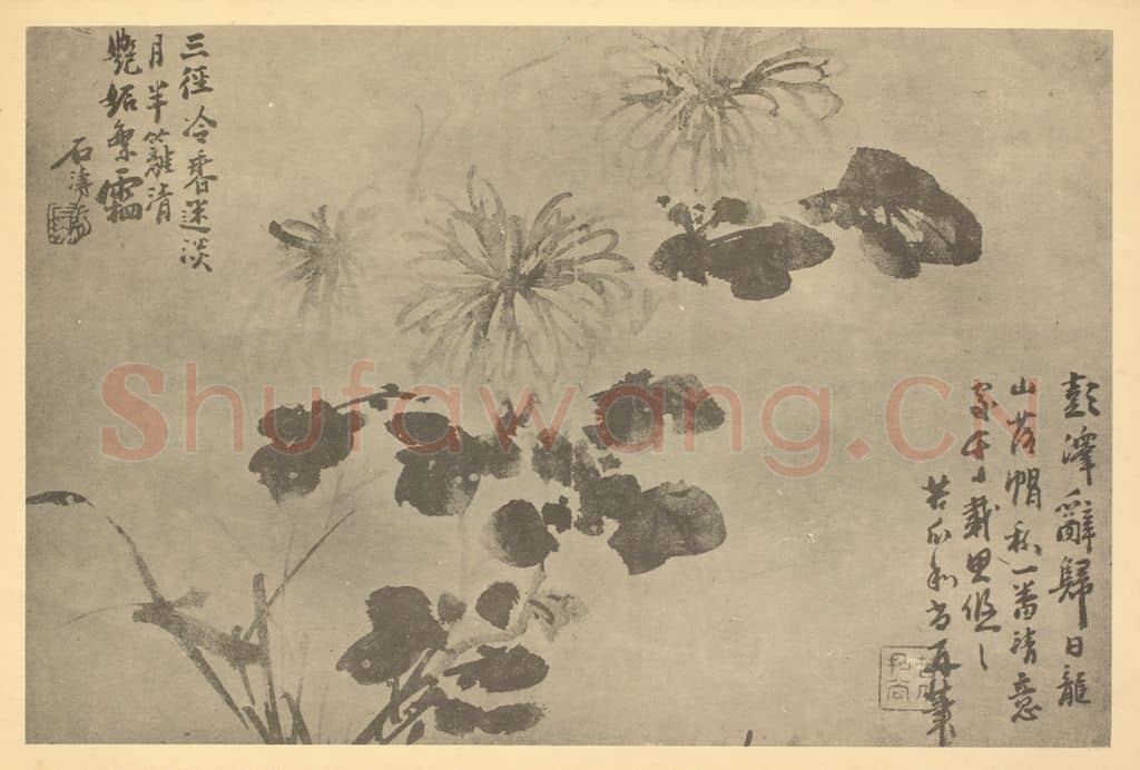 清 释道济《菊》国画作品