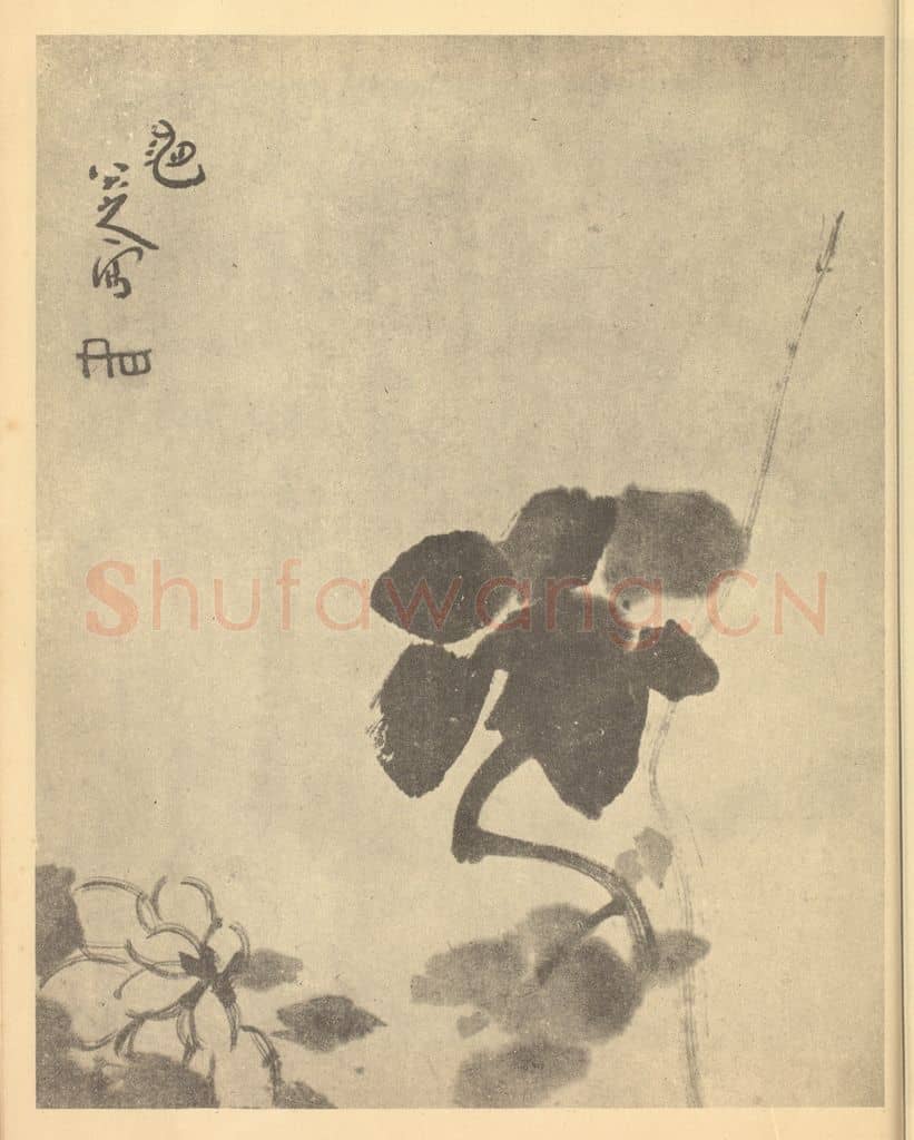 清 朱耷《花卉》国画作品
