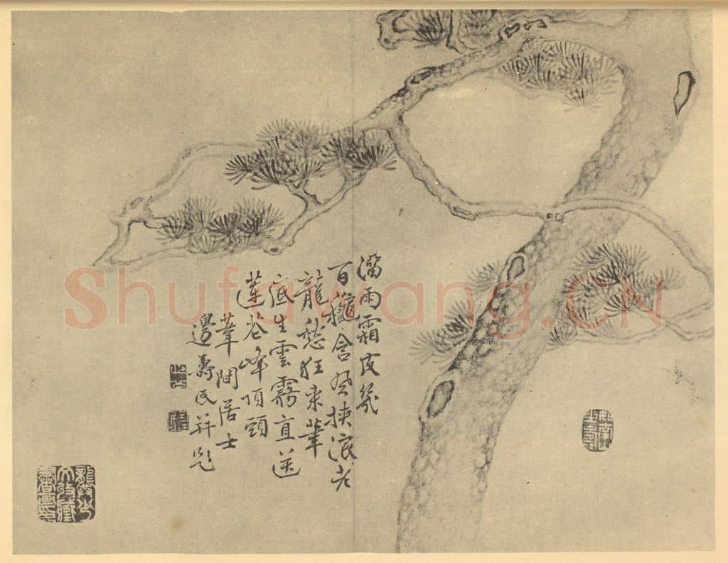 清 边寿民《画松》国画作品