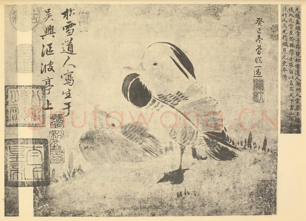元 赵孟俯《画鸂鶒》国画作品