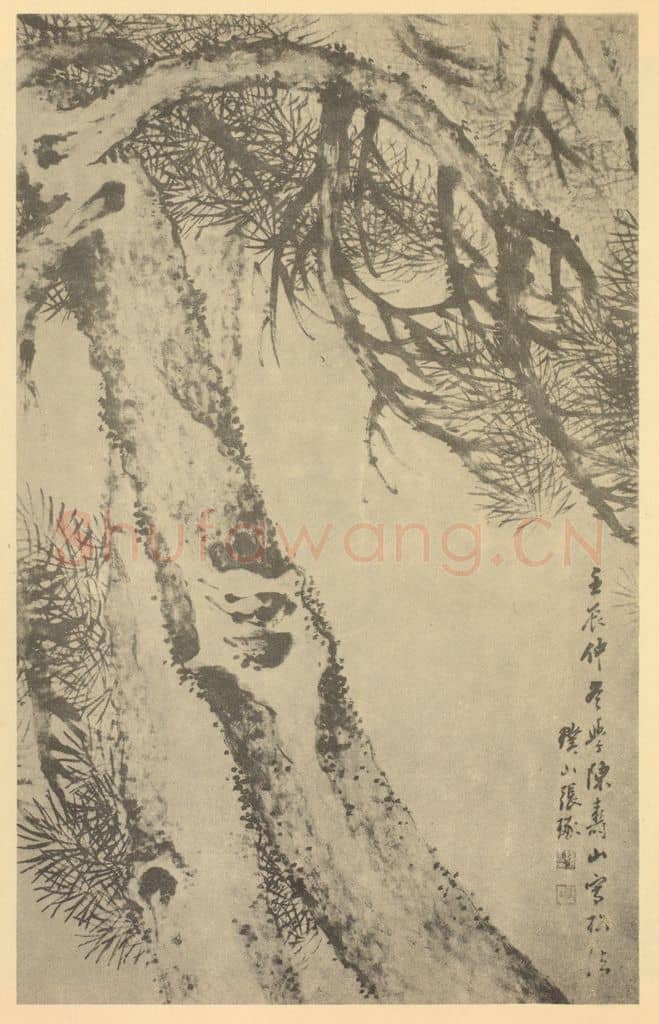 清 张琢《画松》国画作品