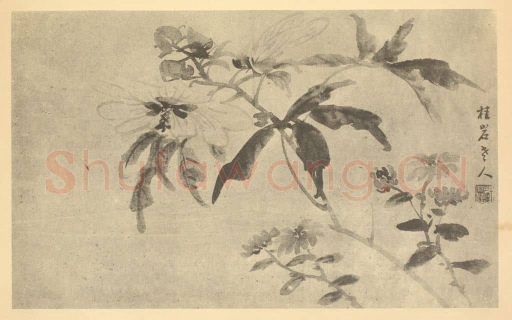 清 张赐宁《菊葵》国画作品