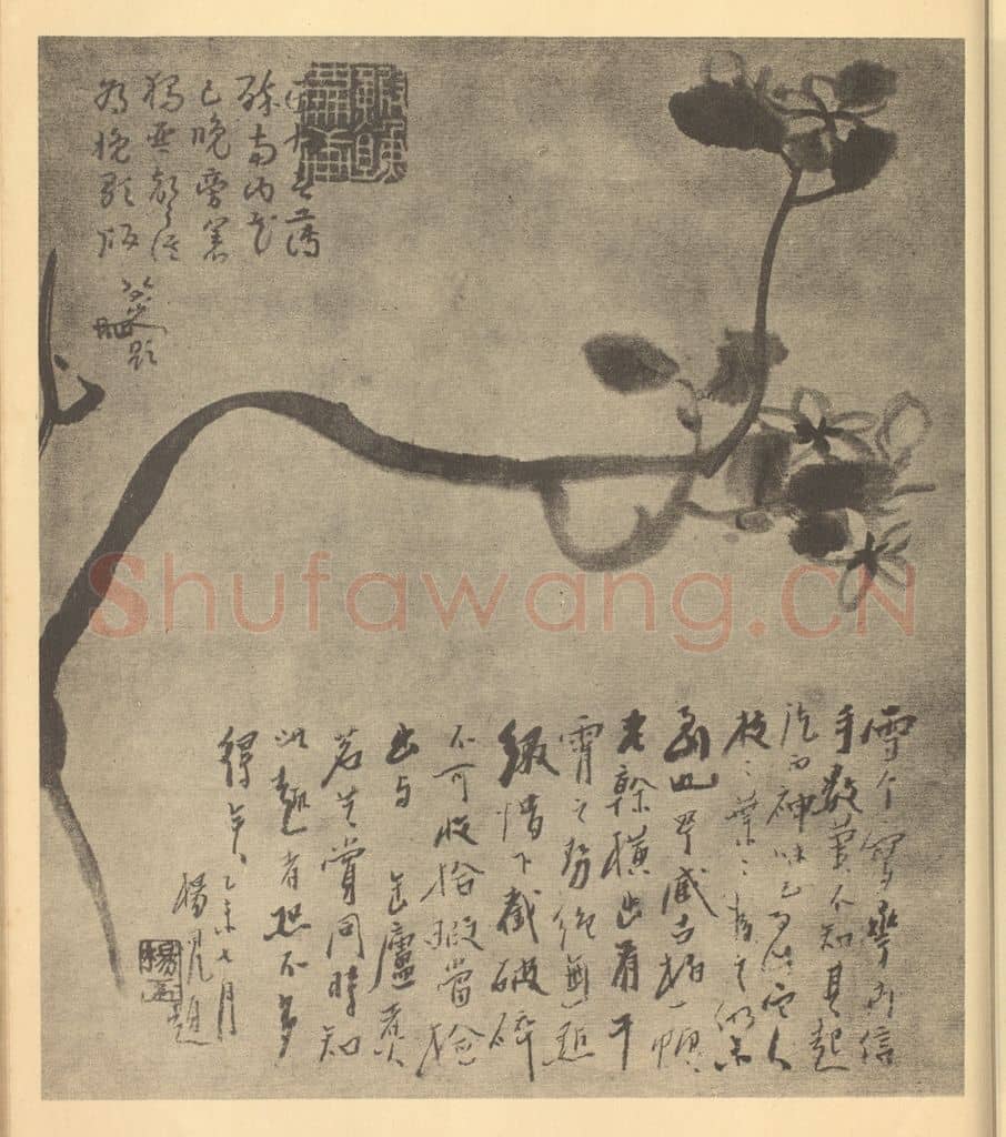 清 朱耷《茉莉》国画作品