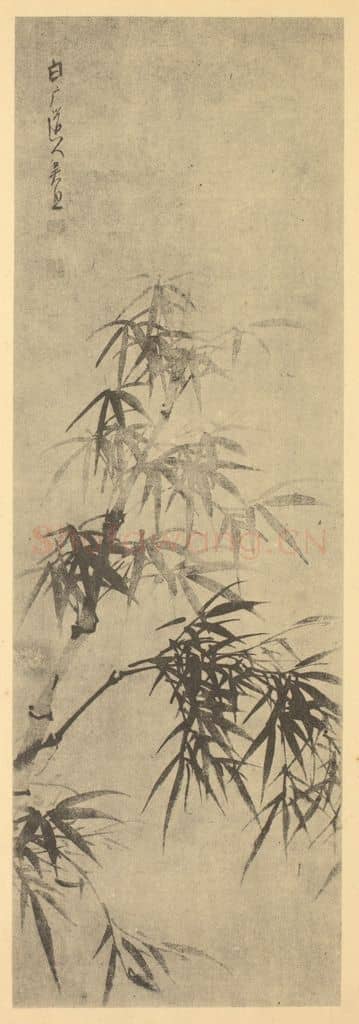 清 吴照《竹》国画作品