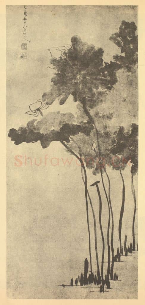 清 朱耷《荷花图》国画作品